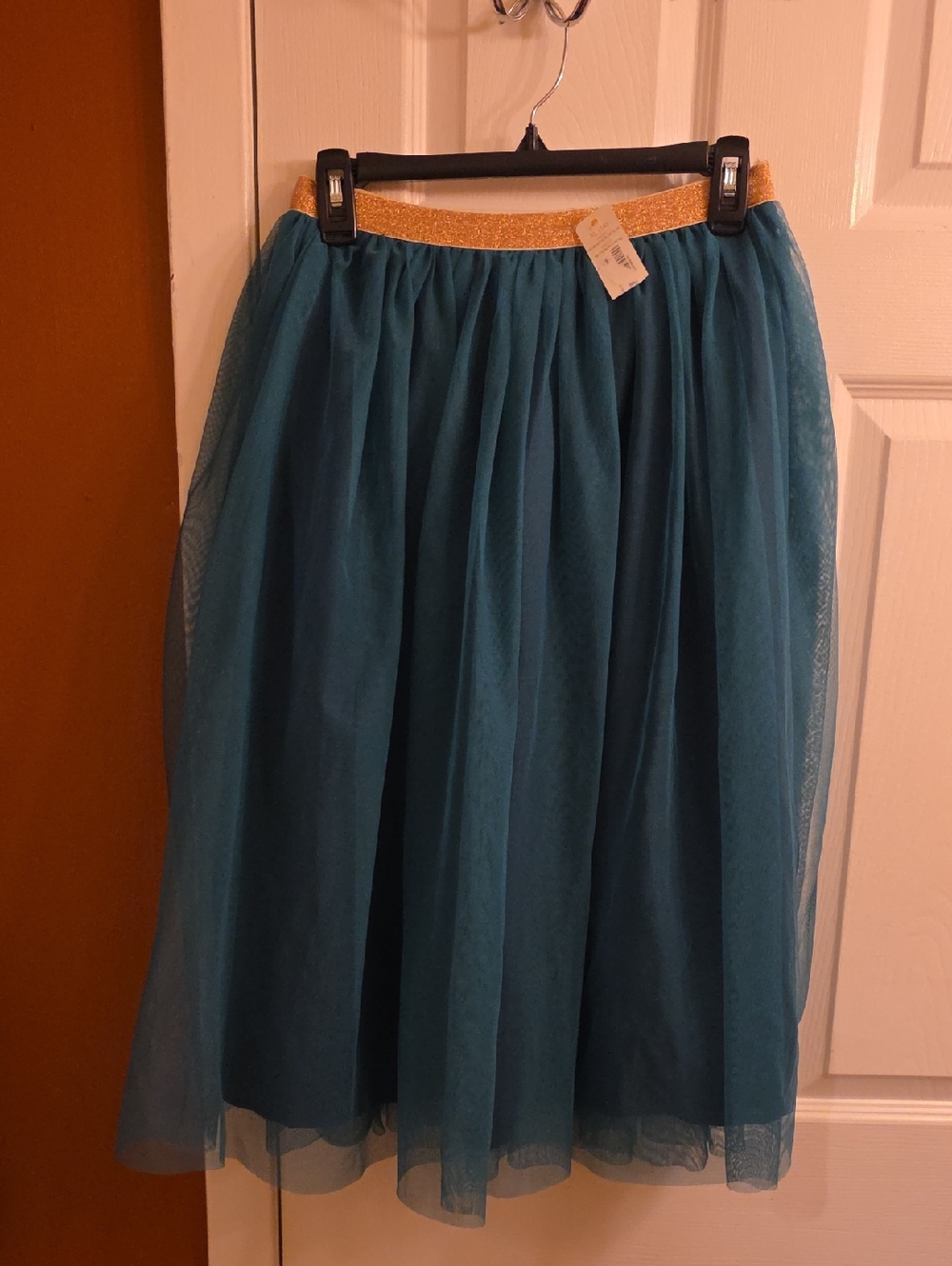 Gymboree Teal Tulle Skirt with Gold Waistband